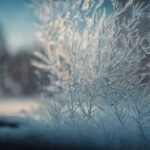 Ice Buildup on Windows