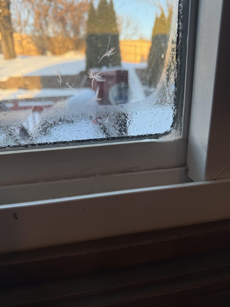 preventing frost on indoor windows